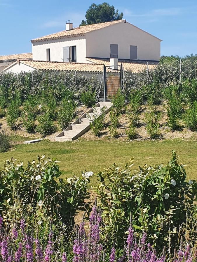 Onze Villa In Provence, Mont Ventoux, New Luxury Villa, Private Pool, Stunning Views, Outdoor Kitchen, Big Green Egg Malaucène Esterno foto